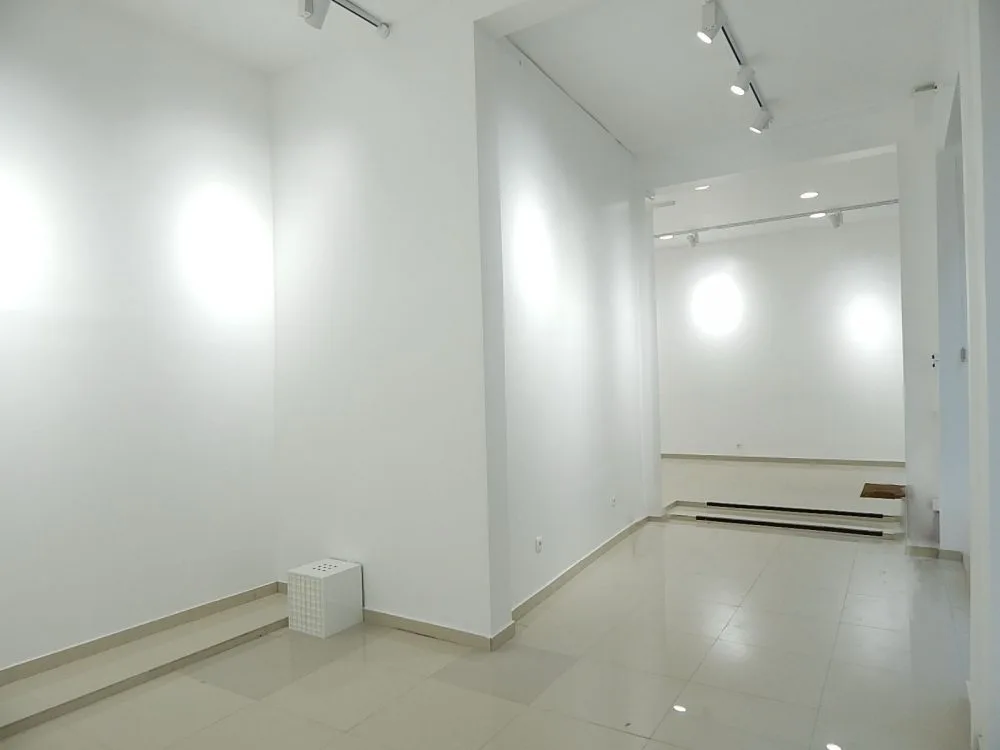 Image de l'annonce Chapon