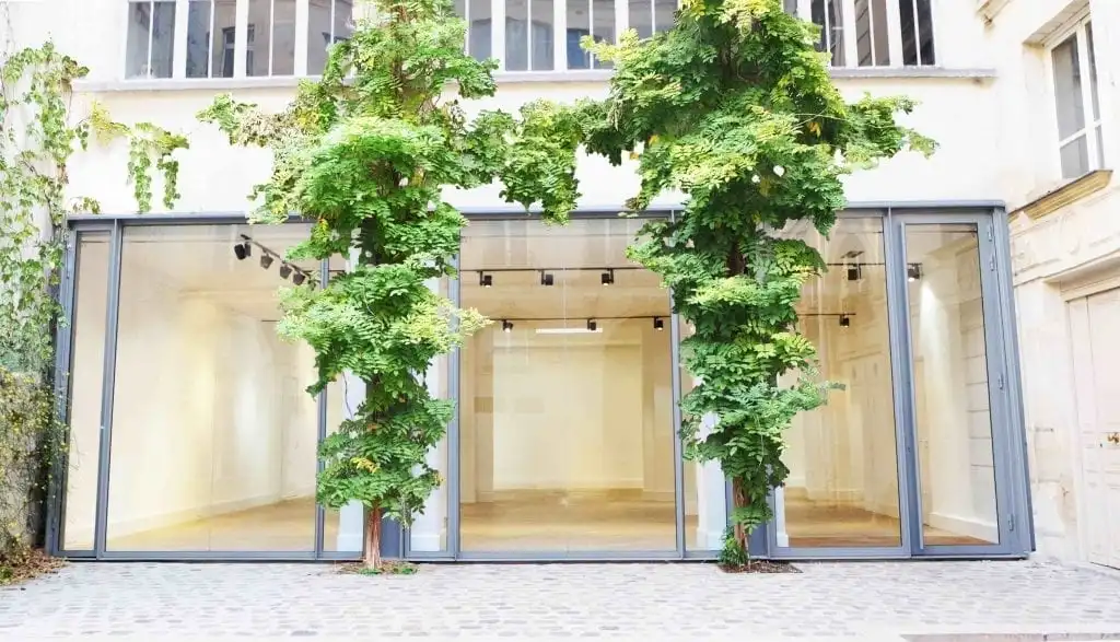 Image de l'annonce 46 bd brune