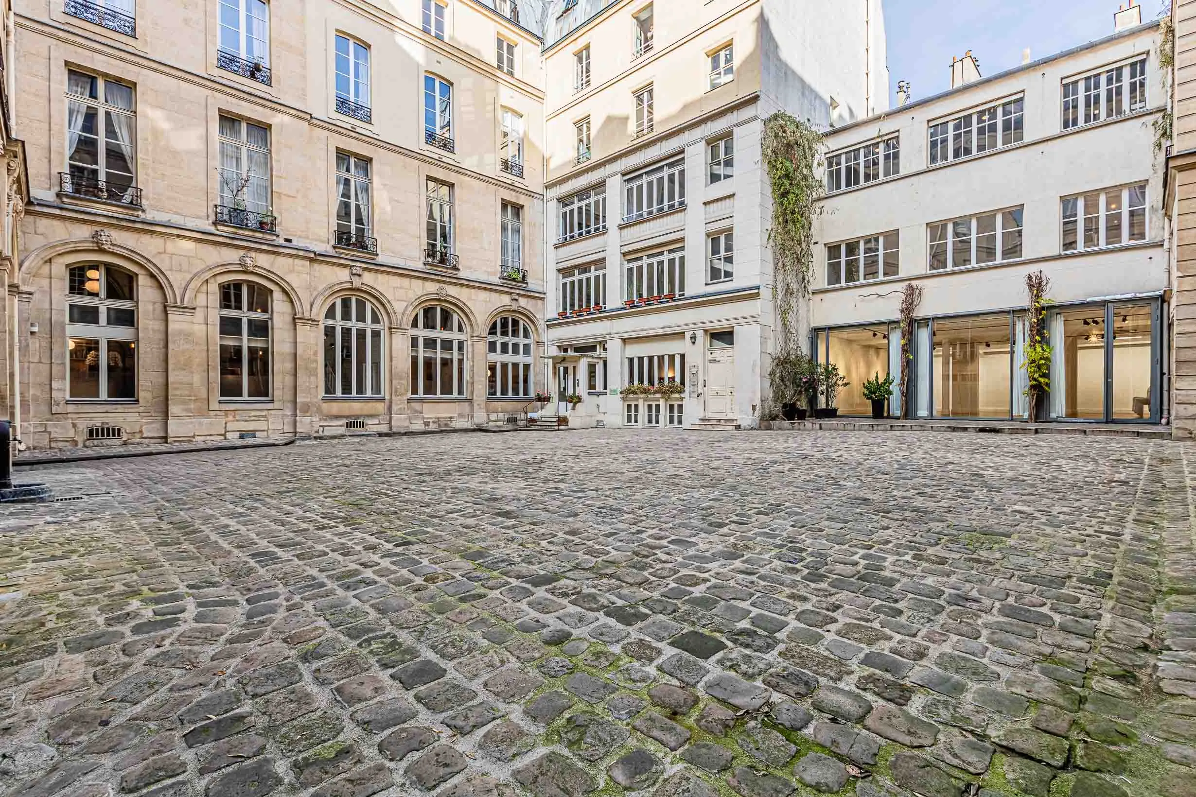 Image de l'annonce 46 bd brune